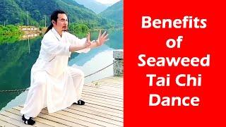 Seaweed Tai Chi Dance: Gentle Exercise, Powerful Health Benefits