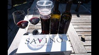 Savino Wine Preservation Carafe Review