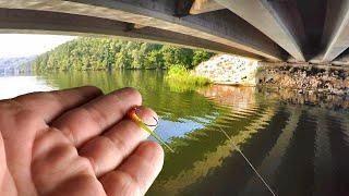 DEADLY Summertime Crappie Fishing SECRETS!!!