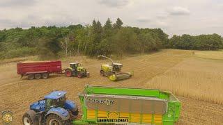 Noternte wegen Trockenheit Wickroggen häckseln mit Claas Jaguar 960 & 3 Häckselwagen GPS 2021