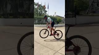 Puro FLOW en MTB.