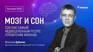 Лекторий ЭФКО. «Мозг и сон. Сон как самый недооценённый ресурс управления жизнью» – Вячеслав Дубынин