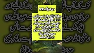 islamicinspiration #hadees145#deen diaries #deen ki Duniya