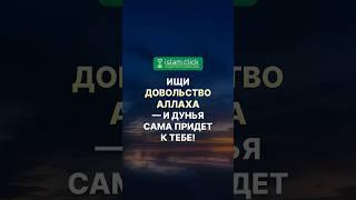 Ищи довольство Аллаха — и дунья сама придет к тебе! Абу Яхья Крымский  #любовькАллаху #напоминание