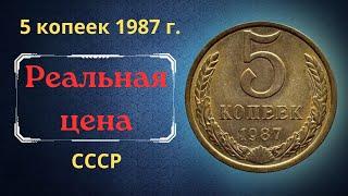 The real price and review of the coin 5 kopecks 1987. THE USSR.