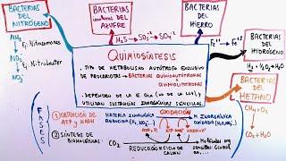 La Quimiosíntesis