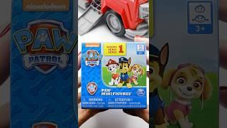 Paw Patrol Mini Mystery Box Unboxing | cute Surprise