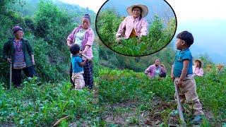 We are working in potato & maize farm II Rural Village life Nepal@pastorallifeofnepal