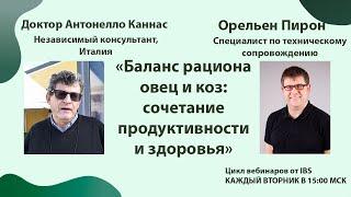 19.12 Д-р Антонелло Каннас «Баланс рациона овец и коз: сочетание продуктивности и здоровья»