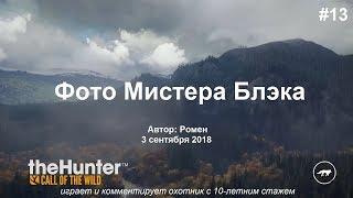 Фото Мистера Блэка в theHunter Call of the Wild