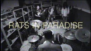 RATS IN PARADISE - TouRATts (ПРЕМЬЕРА КЛИПА)