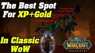 The Best Leveling Goldfarm in Classic WoW | Xp & Gold Grind