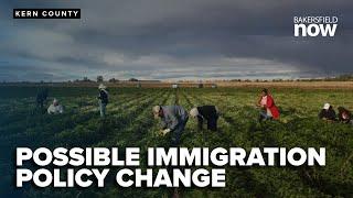 Experts react to President Trump's possible immigration policy change