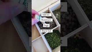 A 3 ingredient banishing herb blend! #witchcraft #witchtok #herbalife #spells #witchy