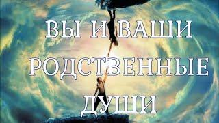 ВЫ И ВАШИ РОДСТВЕННЫЕ ДУШИ