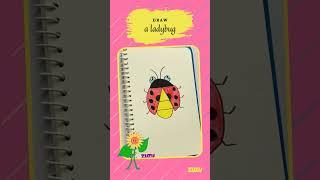 Easy steps to draw a ladybug 