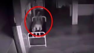 50 Most Disturbing Moments Caught on Camera That You'll Regret Watching Vol. 3