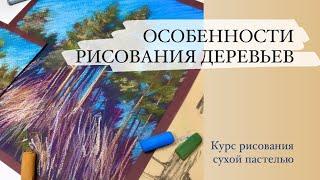 Курс Особенности рисования деревьев. Уроки сухой пастели для начинающих