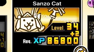 How To Upgrade Your Cats Over Level 10 and 20 Battle Cats (UPDATED GUIDE)