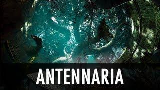 Skyrim Mod: Antennaria