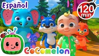 Granja MacDonald - Animales de fantasía | CoComelon y los animales | Dibujos para niños