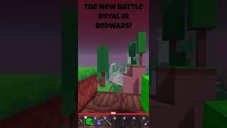 The New Battle Royal on Bedwars! #bedwarsrobloxfunnymoments #roblox #bedwars