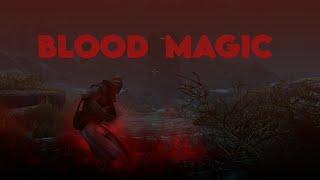 So... I became a blood mage in Skyrim