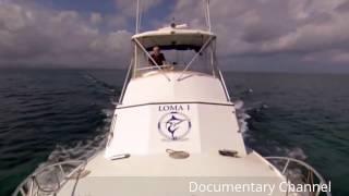 8th Wonder Of The World [Documentary Channel 2017]