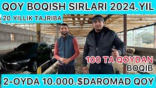 20.YILLIK TAJRIBA QOY BOQISH SIRLARI 4-OYDA SEMIRTIRISH SIRLARI OBUNA BOLING