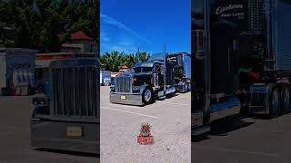 #peterbilt  #hogebuilt bling bling #oldschooltrucks #reeferhauler #hotrig #18tolife #largecar