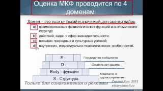 Основы оценки функциональных возможностей индивида по Международной классификации функционирования