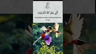 Surah An-Nisa' Verses 5-6.