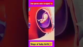 steps of baby birthhow sperms enter in vagina? @Vlogsworld10Mview #trendingshorts #viral