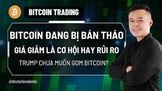 Xanh Hay Đỏ | Bitcoin Đang Bị Bán Tháo - Giá Giảm Là Cơ Hội Hay Rủi Ro (Trump Chưa Muốn Gom BTC?)