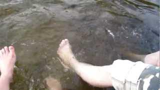 водичка