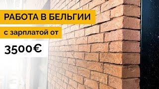 Работа в Бельгии с зарплатой от 3500€