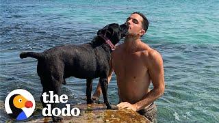 Pittie Yells Like A Broken Car Engine When His Dad Takes Him To His Favorite Place | The Dodo