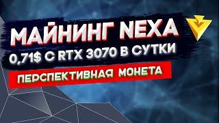 Майнинг NEXA на Windows и Hive OS