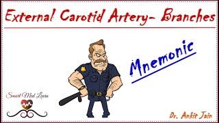 External Carotid Artery Branches  (mnemonic for NEET PG, USMLE Step - 1 Pre)