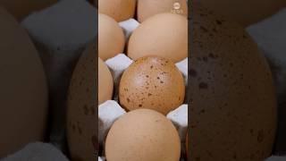 Recall for Costco organic eggs