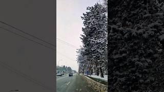 ÎN SFÂRȘIT A VENIT ȘI IARNA #shorts #snow #zapada #snowfall #traffic #bucovina #suceava