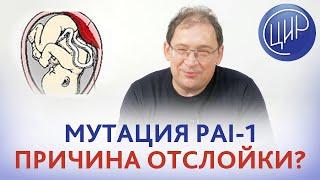 Отслойка плаценты. Может ли быть отслойка плаценты из-за мутации PAI-1? Отвечает Гузов И.И.