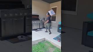 My wife and a pillow against the world. #funny #wasp #bee #wife #funnyvideo #laugh