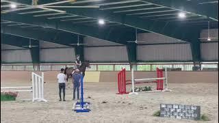fenomene de Reve schooling