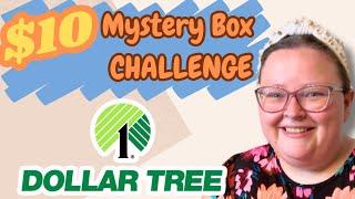 $10 Mystery Box Challenge | Dollar Tree Dinner Edition | Budget Meals
