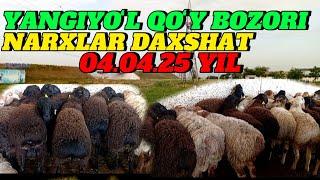 YANGIYOʻL QOʻY BOZORIDAGI BUGUNGI NARXLAR DAXSHAT BOʻLDI 