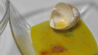 1-й ЖИВОЙ ГОМУНКУЛ ► ИЗ СПЕРМЫ ВАРАНА (Homunculus)