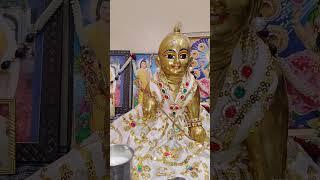 Bhagwan ke bina patta nhi hilta #radhekrishna #shortsfeed #radhe #vrindavan #laddugopal #shortviral