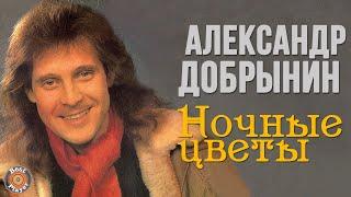 Александр Добрынин - Ночные цветы (Альбом 1992) | Русская музыка