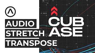 Time Stretch. Transpose in Cubase. Растяжение и Изменение Тона